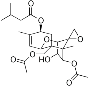 variations geometry and physics in honour of demeter krupkas 65 birthday