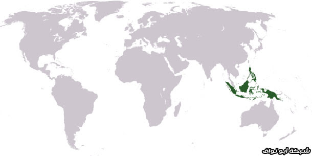 أهم اللغات في العالم أهم اللغات في العالم