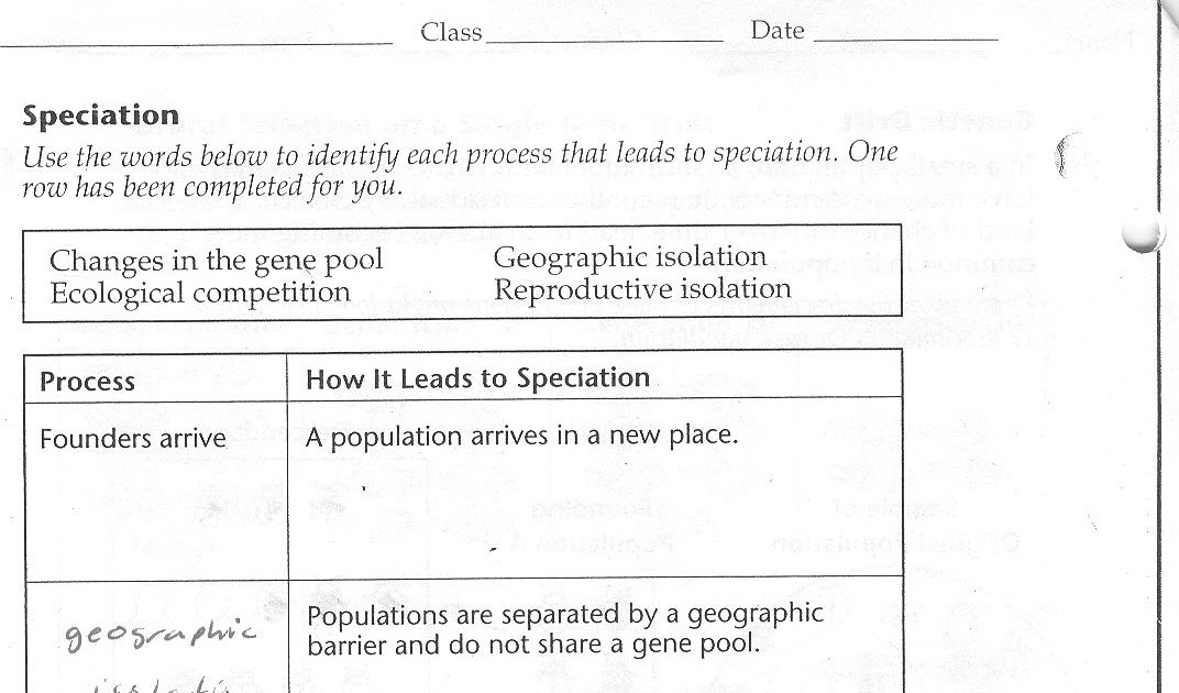 Building Dna Gizmo Worksheet Answers - Student Exploration Dna
