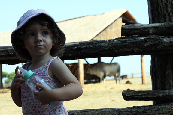 brioni bianka safari park