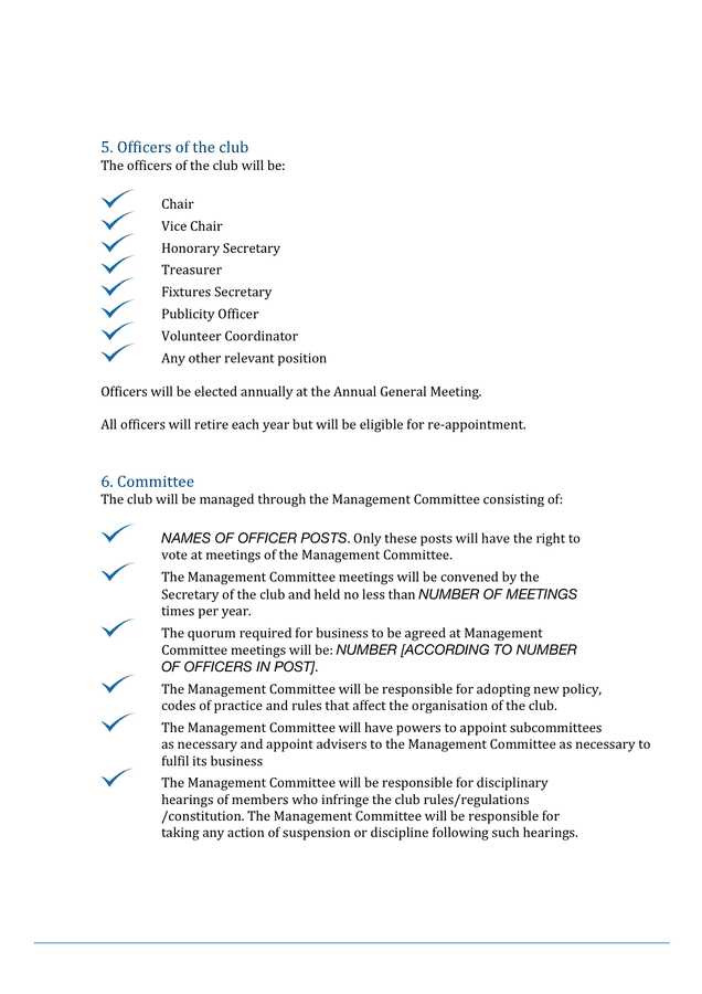 constitution-template-carinewbi