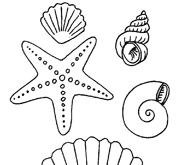 Malvorlagen Muscheln - 37 Muscheln Zum Ausmalen - Besten Bilder von