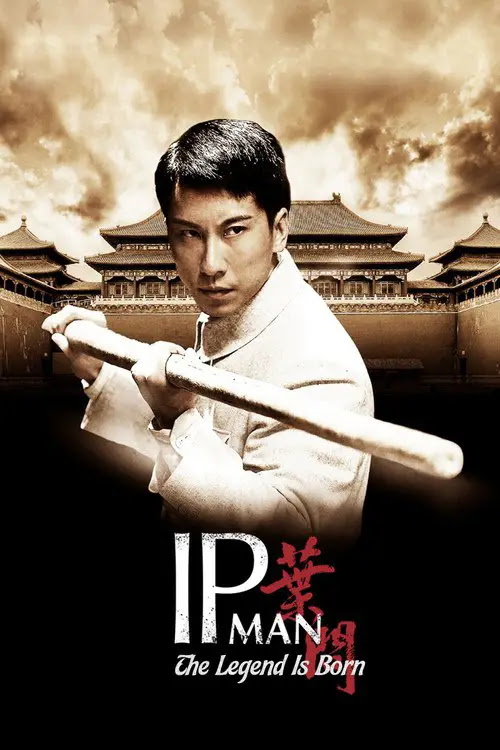 Filme Online Gratis Subtitrate In Romana Ip Man 1 Filme Blog