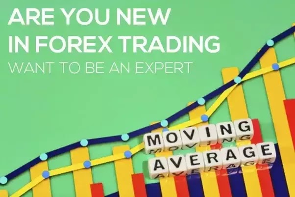 Anyone Making Money Trading Forex Best Forex Ea Quora