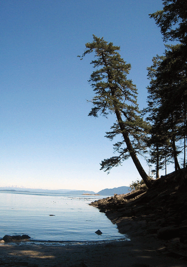 Saturna1