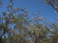 Free Image Hosting at www.ImageShack.us