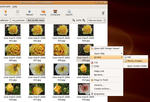 Resize_photos script in Ubuntu