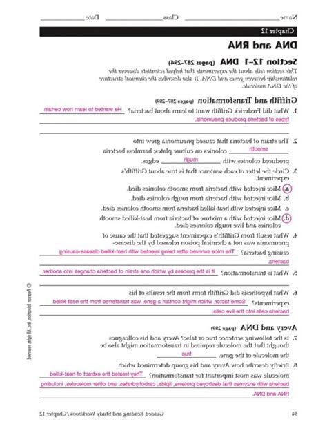 Dna Replication And Protein Synthesis Virtual Lab Sheet Answer Key