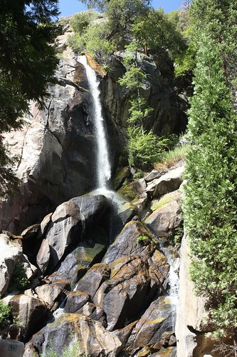 310 Grizzly Falls