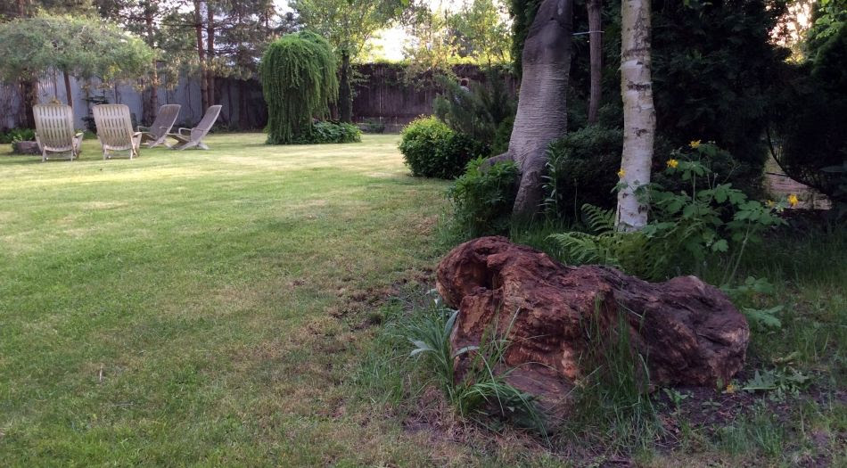 When How Much Garden Design Cost | See More...
