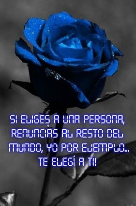 Imagenes De Rosas Azules Con Frases Bonitas - leevandnbrinkblogspotcom