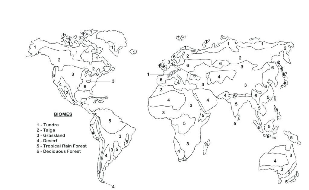 Biomes Worksheet Pdf Answer Key - worksheet