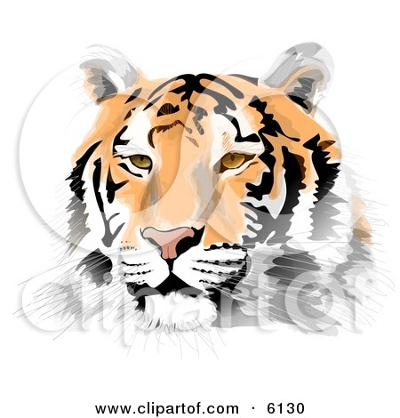 Cartoon Tigers Face | Pictures of Tiger