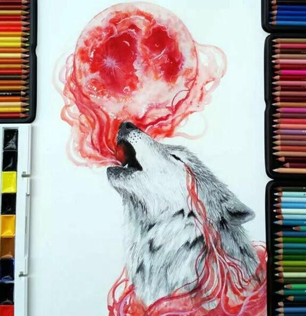 color pencil drawing Examples (17)
