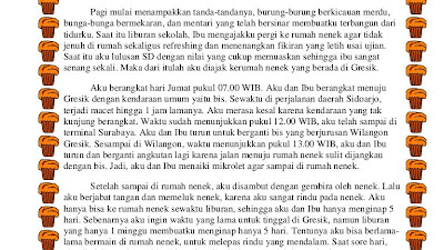 Liburan Sekolah Contoh Cerpen Pengalaman Pribadi