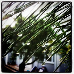 Rain rain, go away
