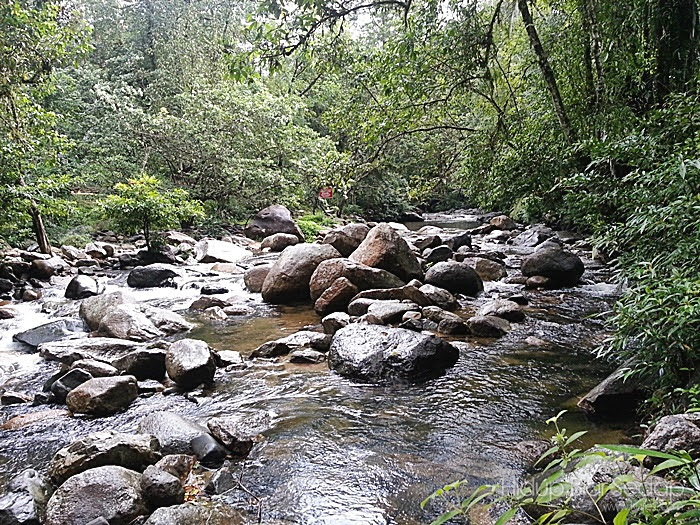 Tempat menarik di Terengganuhutan lipur sekayu terengganu
