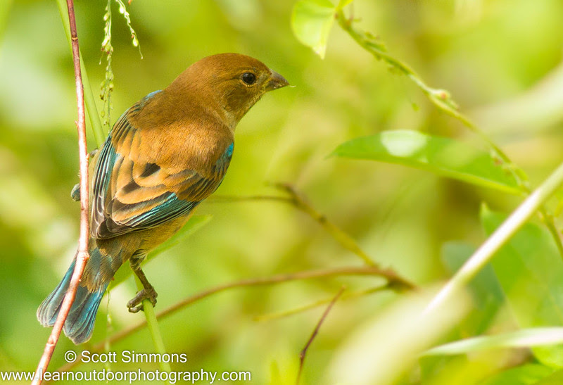 Photo & Video Sharing by SmugMug Photo & Video Sharing by SmugMug