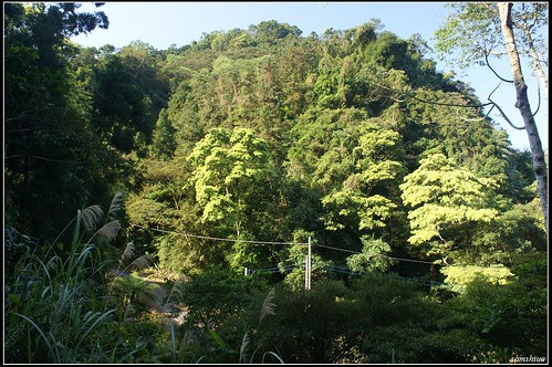 DSC03865