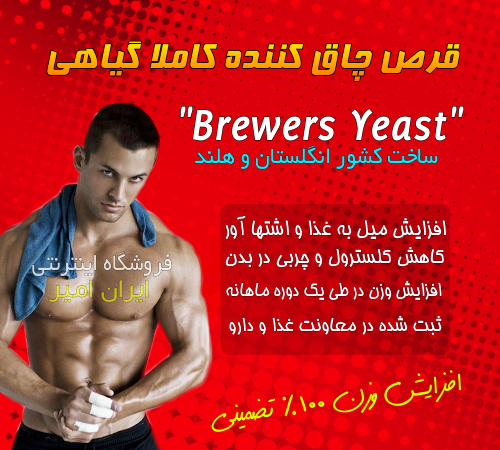 مخمر آبجو