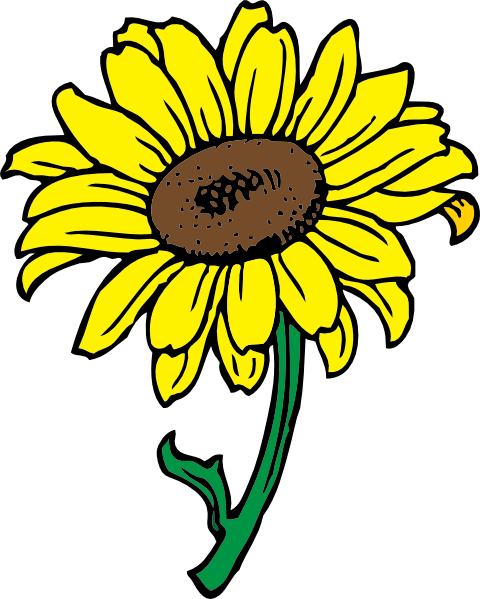 Free Free 155 Clipart Sunflower Png SVG PNG EPS DXF File.