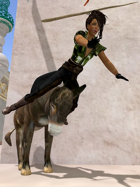 Donkey3