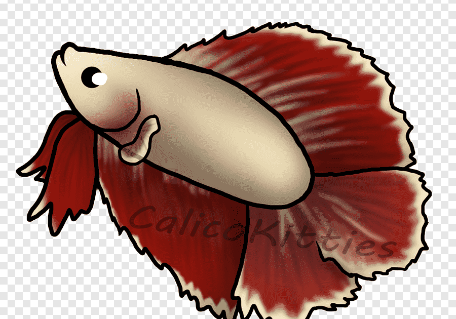 Gambar Animasi Ikan Cupang Hitam Putih / Contoh Sketsa Gambar Ikan
