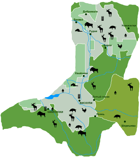 Беловежская пуща карта заповедника