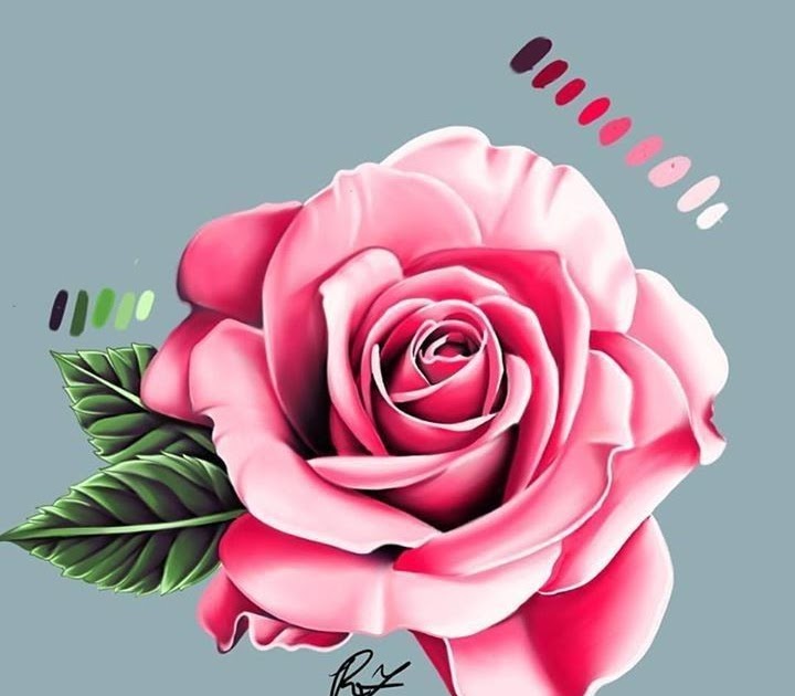 Dibujos De Flores Realistas A Color