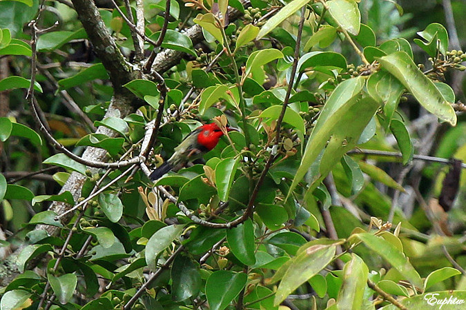 IMG_0545