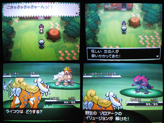 私は本当にそれが好きです ポケモン ブラック 2 ゾロアーク 100 で最高の画像