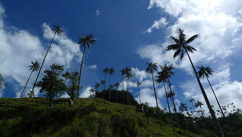 P1040051