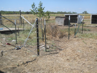 Pulling Net Wire Fencing