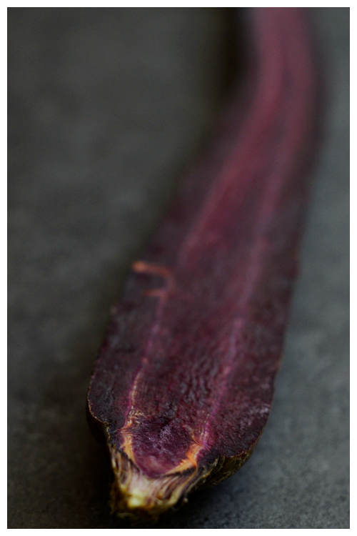 red carrot© by Haalo