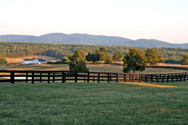 Barboursville