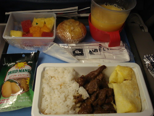 delta airlines
