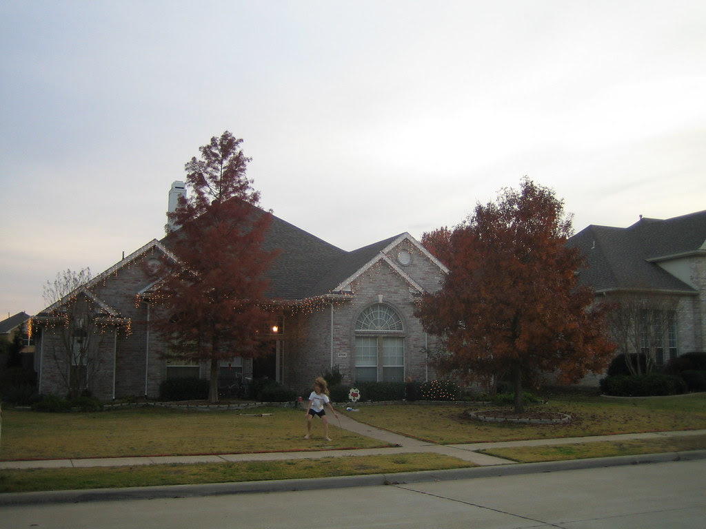 Christmas Lights