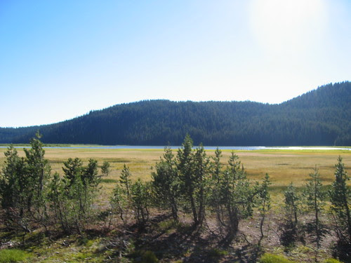 Sparks Lake