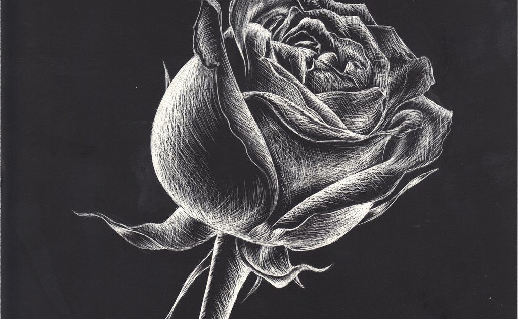 Featured image of post Cool Scratchboard Ideas