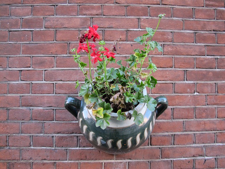 Built-in plant holder