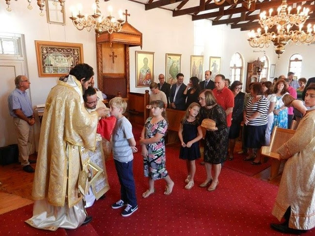 photo (100)
