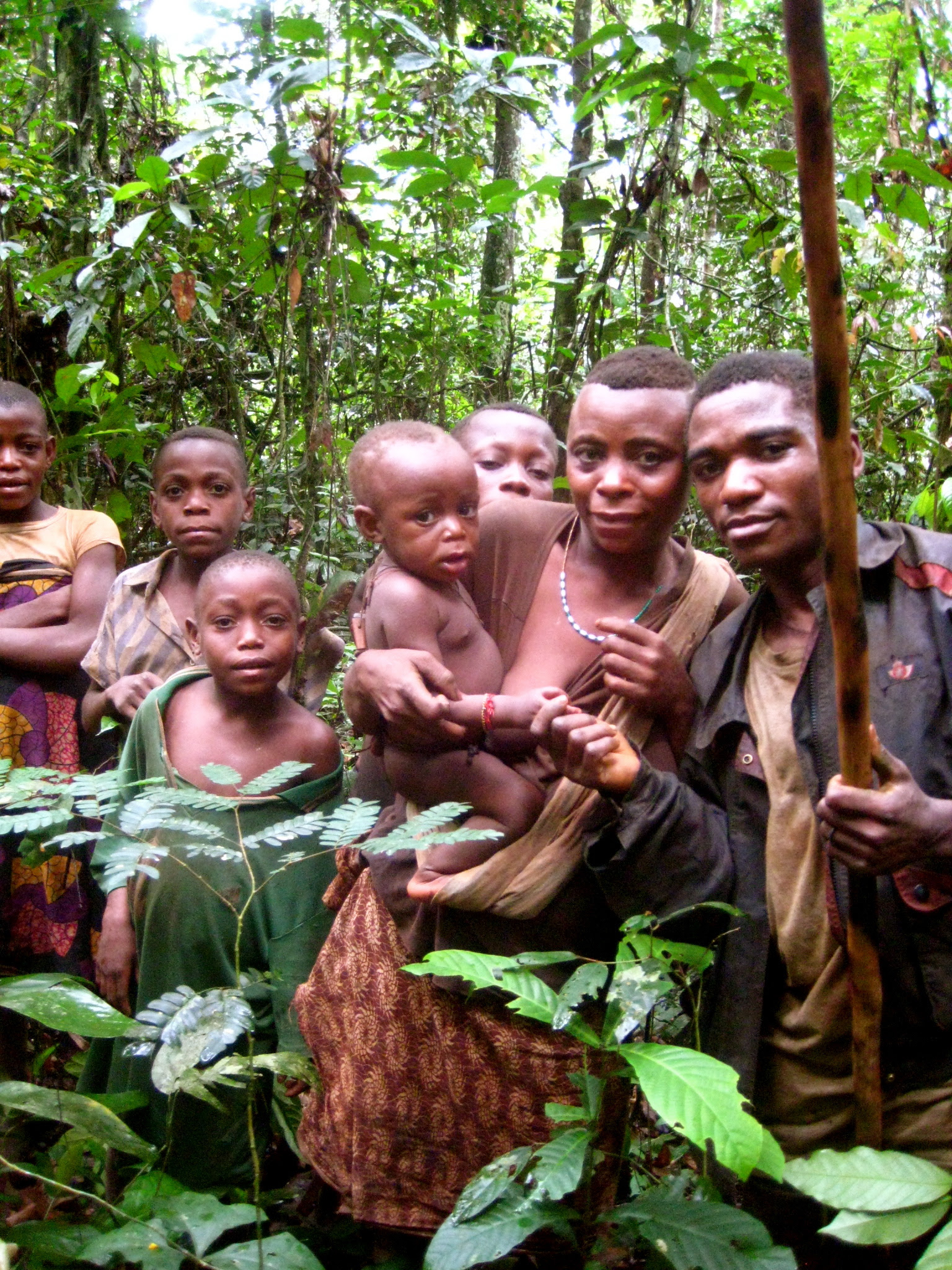 Житель экваториальной африки. Племя пигмеев. Пигмеи народ Африки. Пигмеи народ Африки рост.