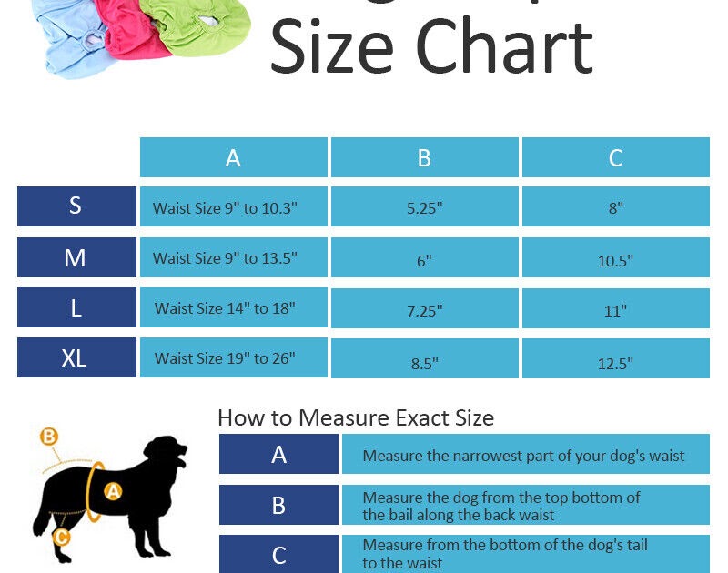 Dog Diaper Size Chart - Greenbushfarm.com
