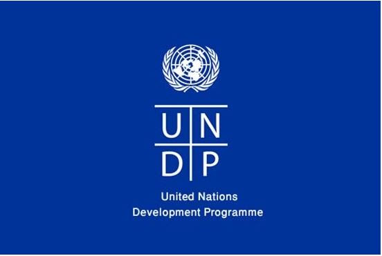 Program Coordinator, Gender and Humanitarian at UNDP Nigeria