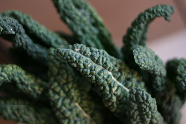 lacinato kale