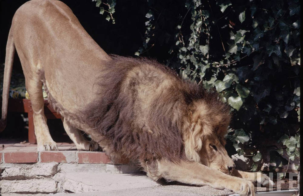 17 19