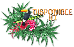 DISPONIBLE.png