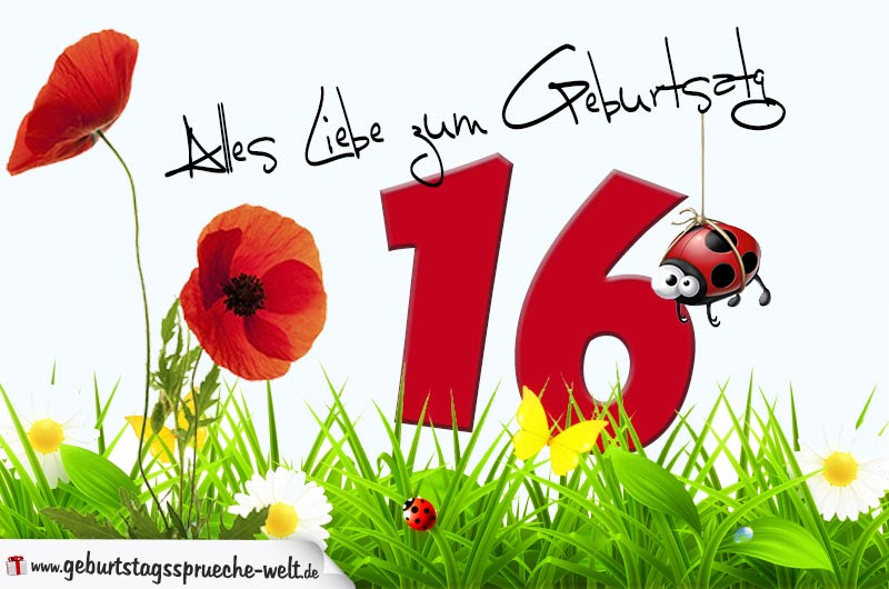 Lustige Geburtstagssprüche Zum 16. Geburtstag