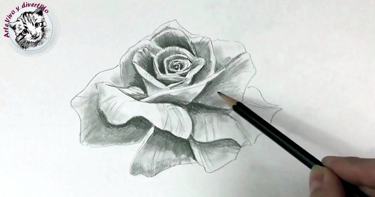 35+ Ideas Para Dibujos De Flores A Lapiz Realistas - Alyshia Kanters Blogs