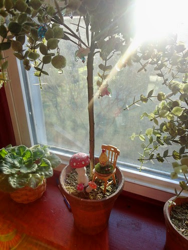 fairy garden